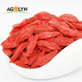 Agolyn Pure Natural Dried Organic Chinese fruit Wolfberry
Agolyn Pure Natural Dried Organic Chinese fruit Wolfberry
 
 